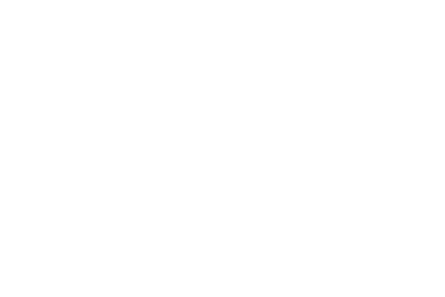 Mastercard logo white